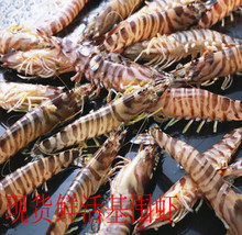 【海鲜水产鲜活虾】最新最全海鲜水产鲜活虾返利优惠_一淘网